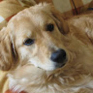 Meet your Posher, Gail